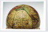Cartouche in North Pacific Ocean by George Adams