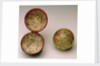 Sphere and case by George Adams