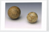 Terrestrial and celestial spheres by Johann Bernard Bauer