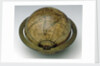 Sphere and meridian ring by Dudley Adams