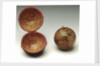 Sphere and case by Adams