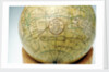 Cartouche in Indian Ocean by John Cary