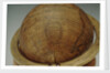 Cartouche in South Pacific Ocean by Jean Fortin