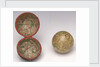 Sphere and case by William Palmer