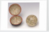 Sphere and case by Moll