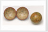 Sphere and case by Charles Smith & Son