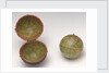 Sphere and case by Lane