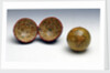 Sphere and case by Charles Smith & Son