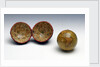 Sphere and case by Charles Smith & Son