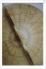Meridian semi-circle by William Bardin
