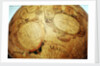 Cartouches in southern continent by Willem Jansz Blaeu