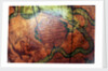 Cartouche below Cetus by Johann Gabriel Doppelmayr