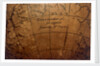 note in hypothetical southern continent by Joannes Oterschaden