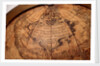 Dedication cartouche in North America by Giuseppe de Rossi