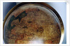 North America by Gerard Mercator
