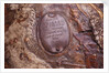 Cartouche North of Pegasus by Erhard Weigel