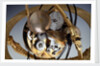 Winding wheels of celestial clockwork globe by Isaac Habrecht II
