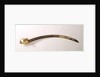 Presentation Sword by Osborn & Gunby