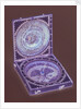 Dieppe magnetic azimuth dial, leaves Ib and IIa by Jacques Senecal