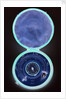 Magnetic dial, with case by Thomas Staight