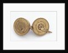Astronomical compendium by unknown