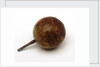 Sphere and handle by Malby & Co