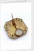 Horizontal dial by Michael Butterfield
