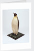 Stuffed emperor penguin by Dr. Edward Wilson