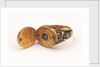 Horizontal dial, mounted on gold finger ring by unknown