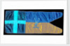 Captain Robert Falcon Scott's sledge flag by unknown