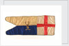 Captain Robert Falcon Scott's sledge flag [inverted colours] by Unknown