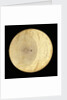 Astrolabe: plate for 48 by Erasmus Habermel
