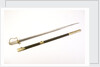 Stirrup hilted 'fighting' sword by S. Brunn