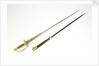 Small-sword said to have belonged to Sir William Hamilton (1730-1800). by Cullum