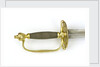 Small-sword said to have belonged to Sir William Hamilton (1730-1800). by Cullum