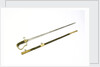 Stirrup hilted dress sword by unknown