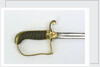 Stirrup hilted dress sword by Stephens
