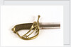 Royal Marines sword by Unknown