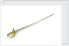Sword, Austrian by unknown