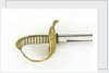 Hilt of sword, Austrian by unknown