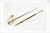 United States Naval sword by unknown