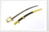 Sword, presentation by Tatham