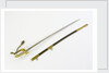 Sword, solid half-basket hilt by unknown