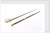 Stirrup hilted dress sword by Salter