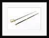 Stirrup hilted dress sword by Salter
