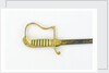 Stirrup hilted dress sword by Salter