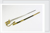 Sword, solid half-basket hilt by unknown