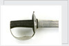 Hilt of Norwegian cutlass by unknown