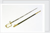 Stirrup hilted dress sword by unknown