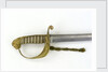 Solid half-basket hilt of sword by unknown